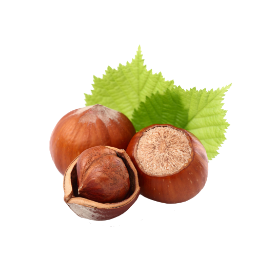 Hazelnuts