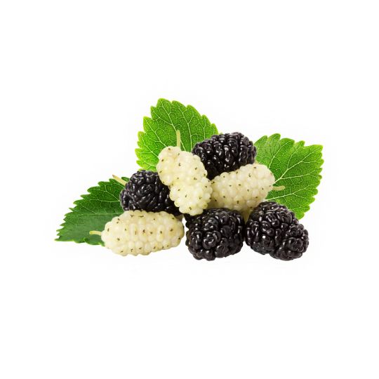 Mulberries