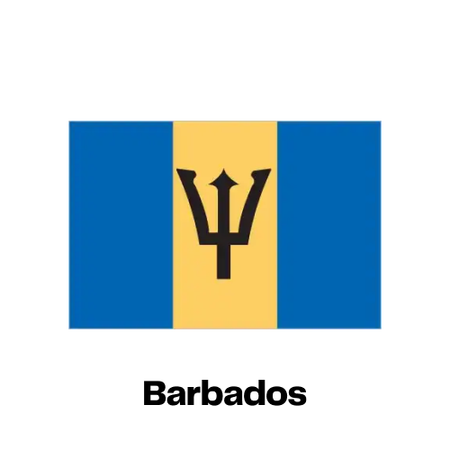 Barbados National Flag