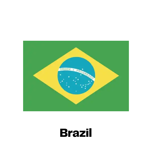 Brazil National Flag