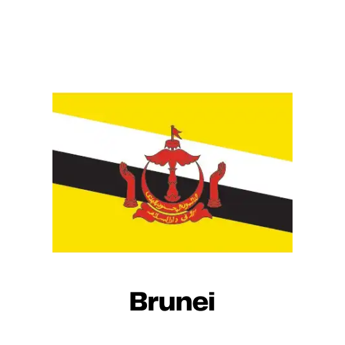 Brunei National Flag