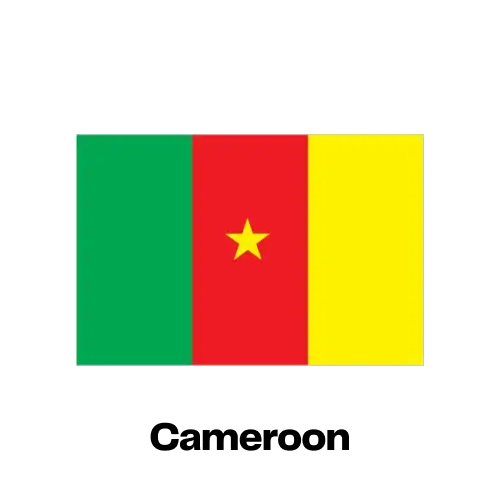 Cameroon National Flag