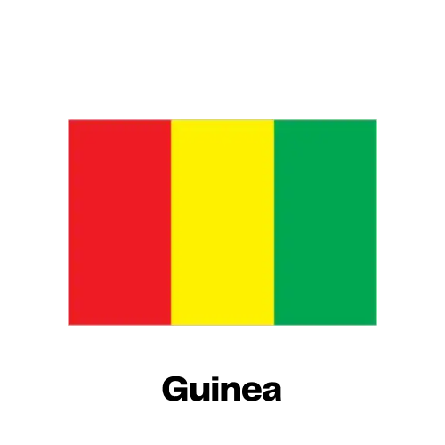 Guinea National Flag