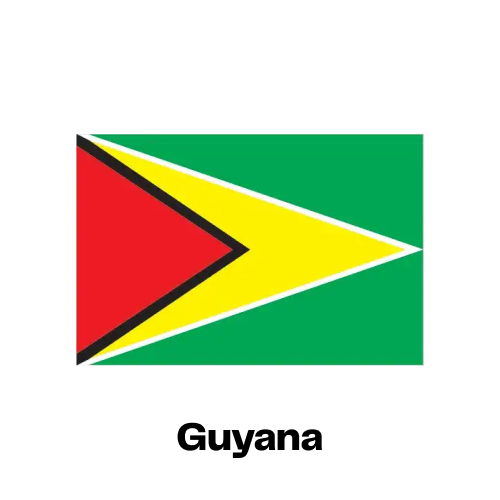 Guyana National Flag