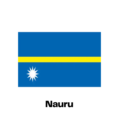 Nauru National Flag