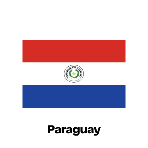 Paraguay National Flag