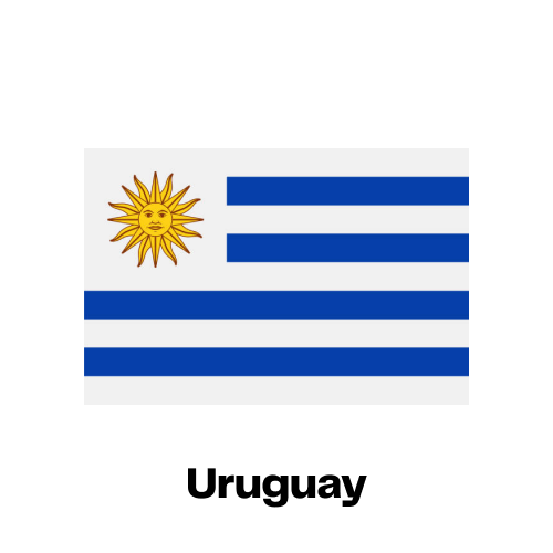 Uruguay National Flag