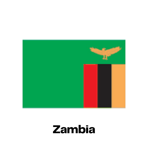 Zambia National Flag