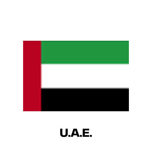 United Arab Emirates National Flag